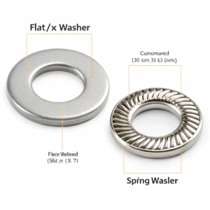 Flat Washer vs. Spring Washer